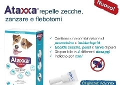 Promozione primavera veterinaria