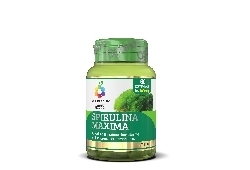 Spirulina MAXIMA