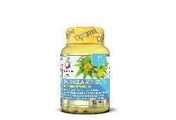 Rhodiola Rosea PLUS