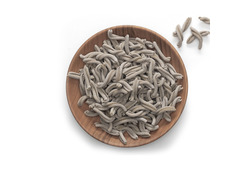 PASTA CASARECCE LOW FODMAP