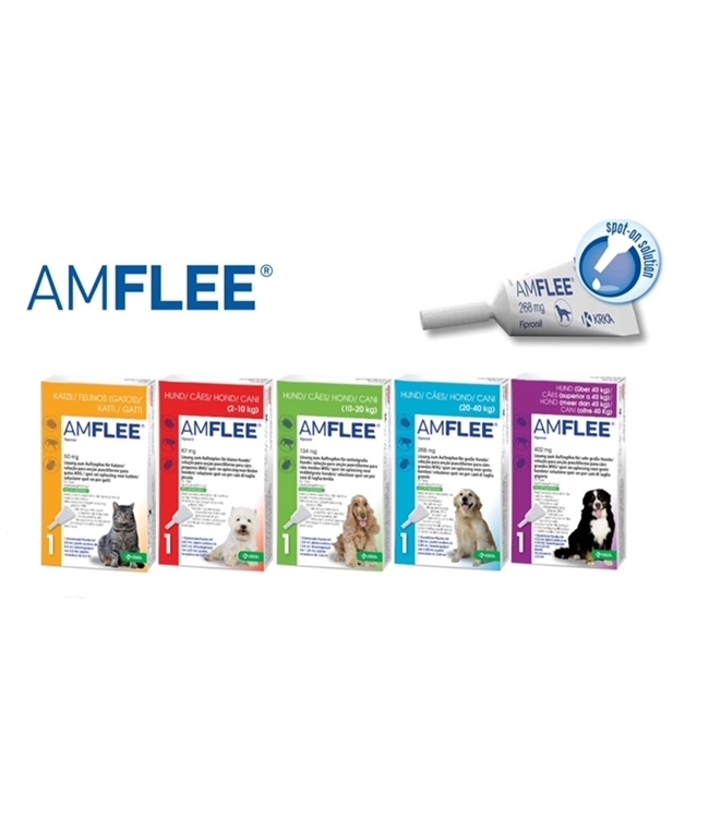 Promozione primavera veterinaria