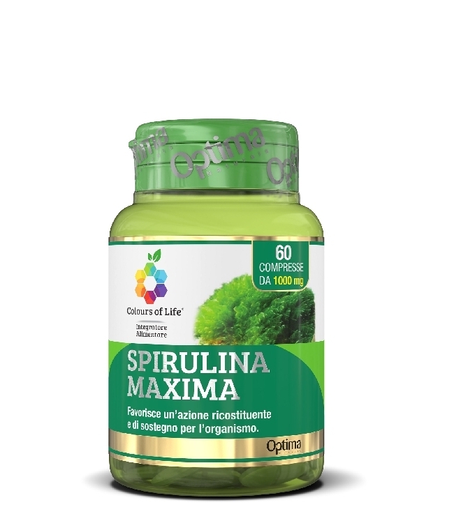 Spirulina MAXIMA