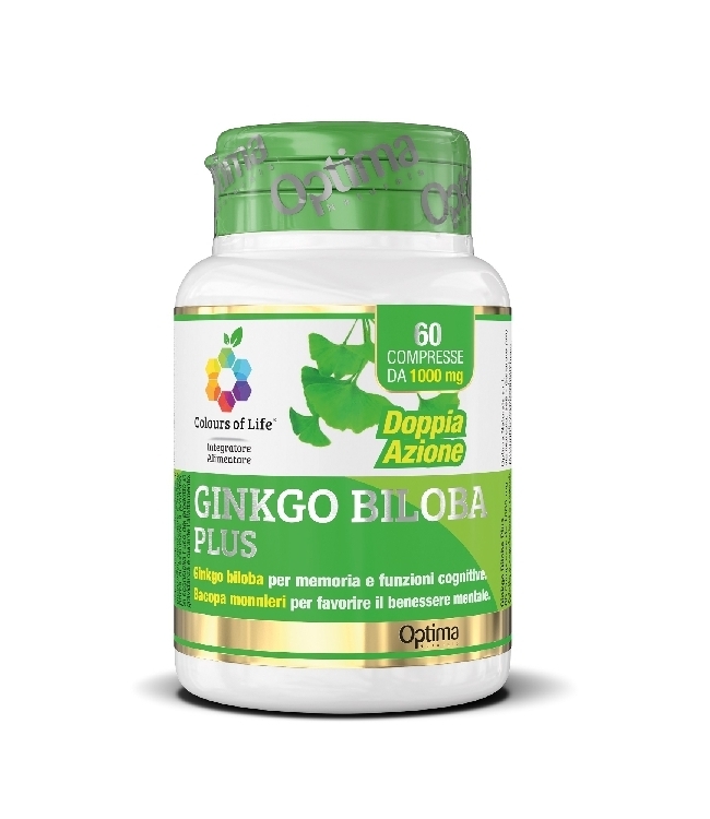 Ginkgo BILOBA PLUS